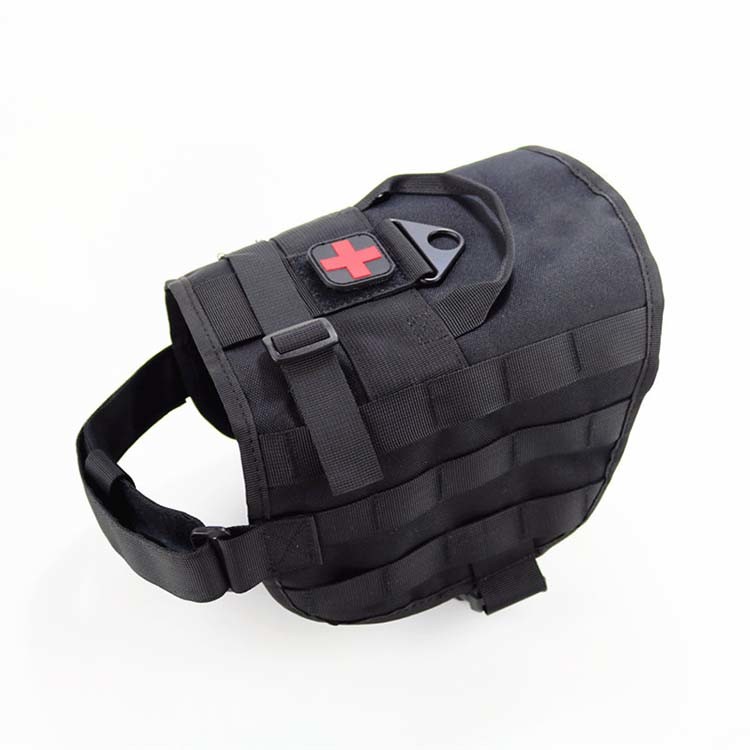DM_20241010151856_004
