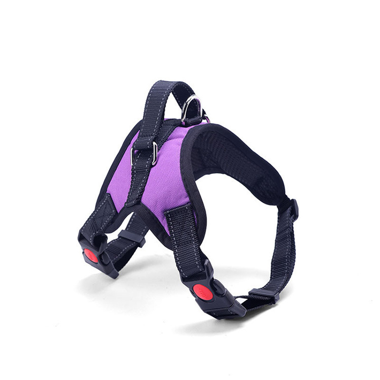 DM_20241010154642_002